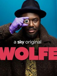 Suivez la série Wolfe en streaming en VF et en VOSTFR saison 1